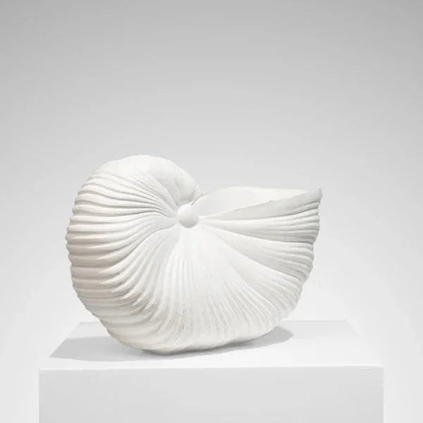 Aurelis - Nautilus Shell Ceramic Planter