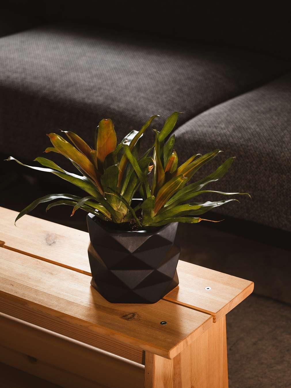 Diamond Ceramic Planter | Modern Indoor Plant Pot with Drainage Hole