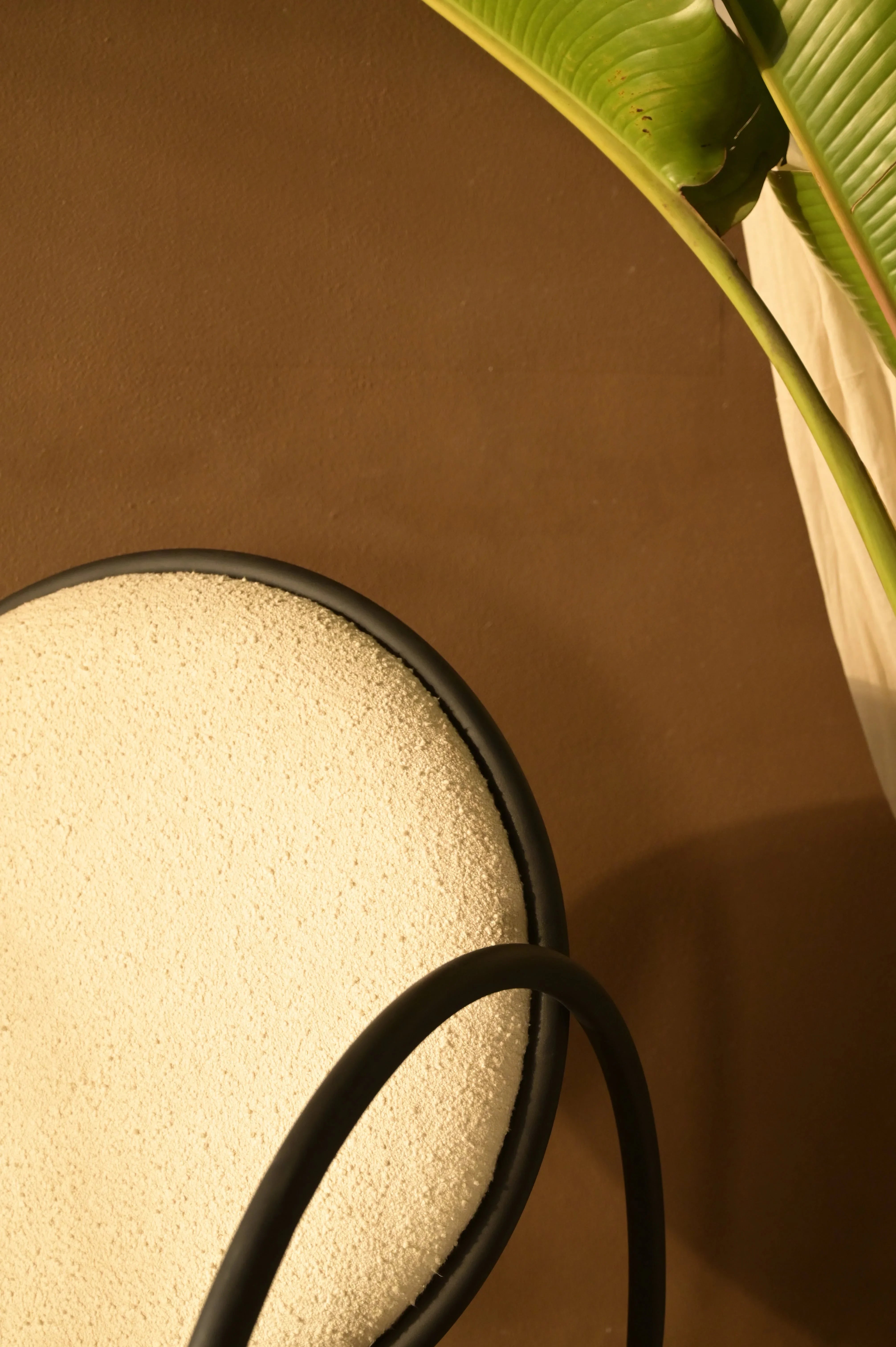 Sienna Lounger Chair | Modern Lounge Chair for Balcony & Living Room