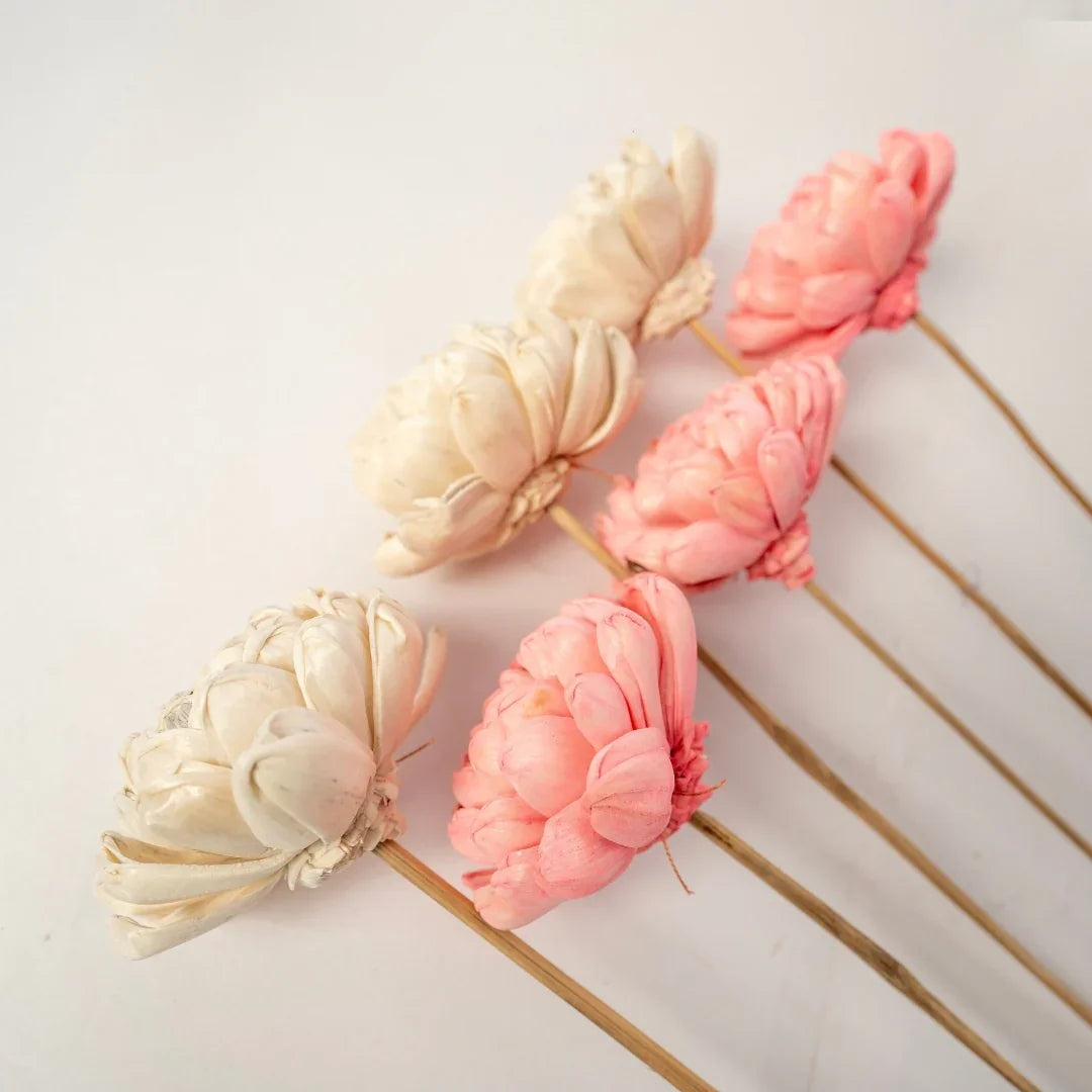 Twisted 8 Cm | Baby Pink and White