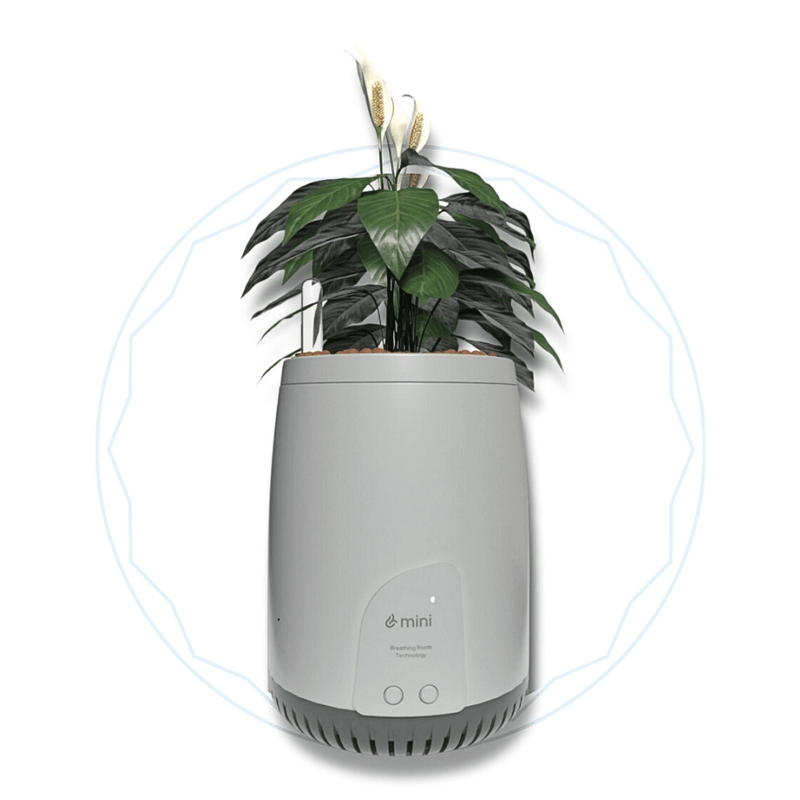 Mini Lite Planter | Compact Air Purifier & Portable Fresh Air System