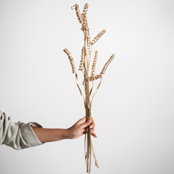 Curly Palm Sticks - Golden | Set of 10 sticks