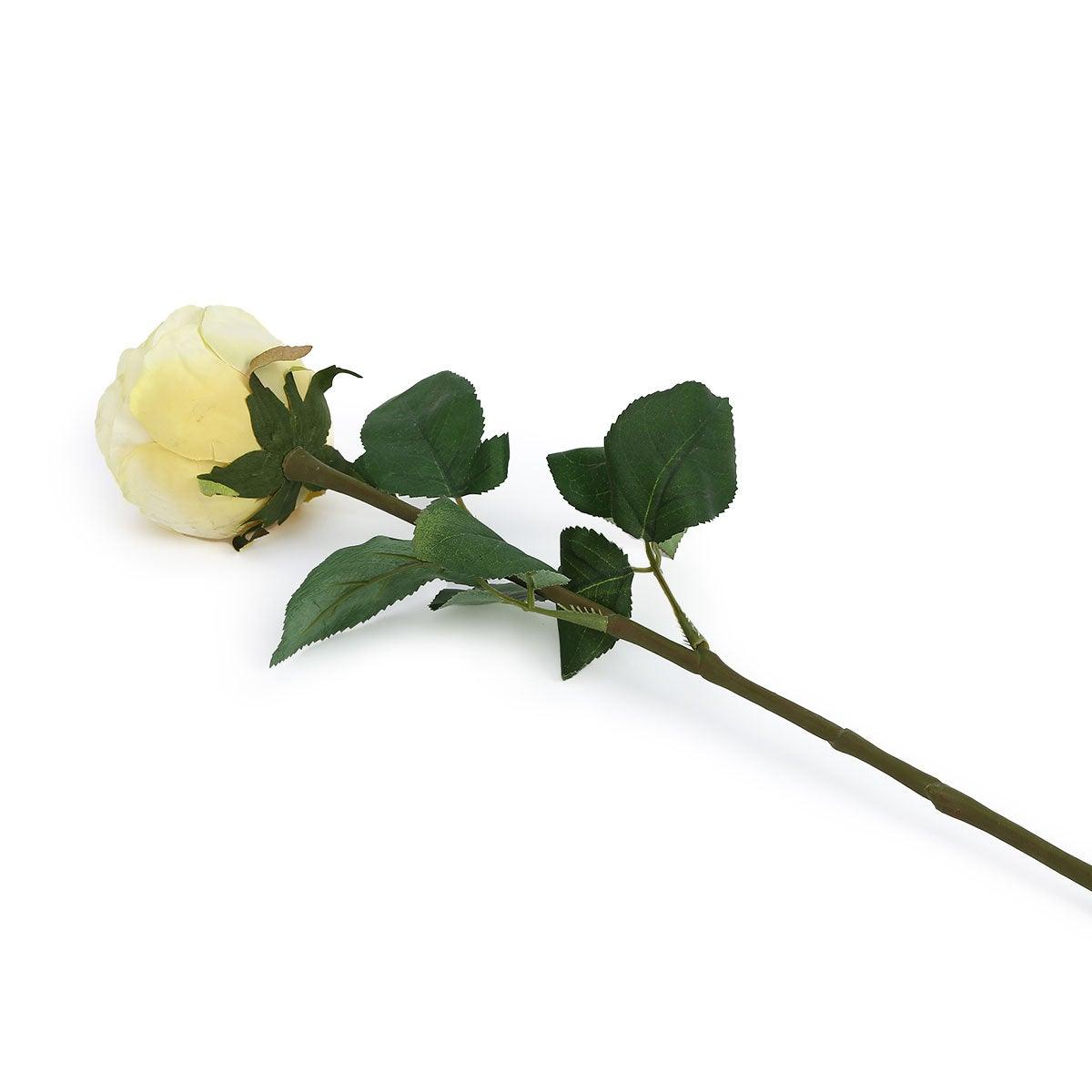 Peking Cabbage Rose With Leaves Light