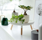 Countertop Pedestal Tray