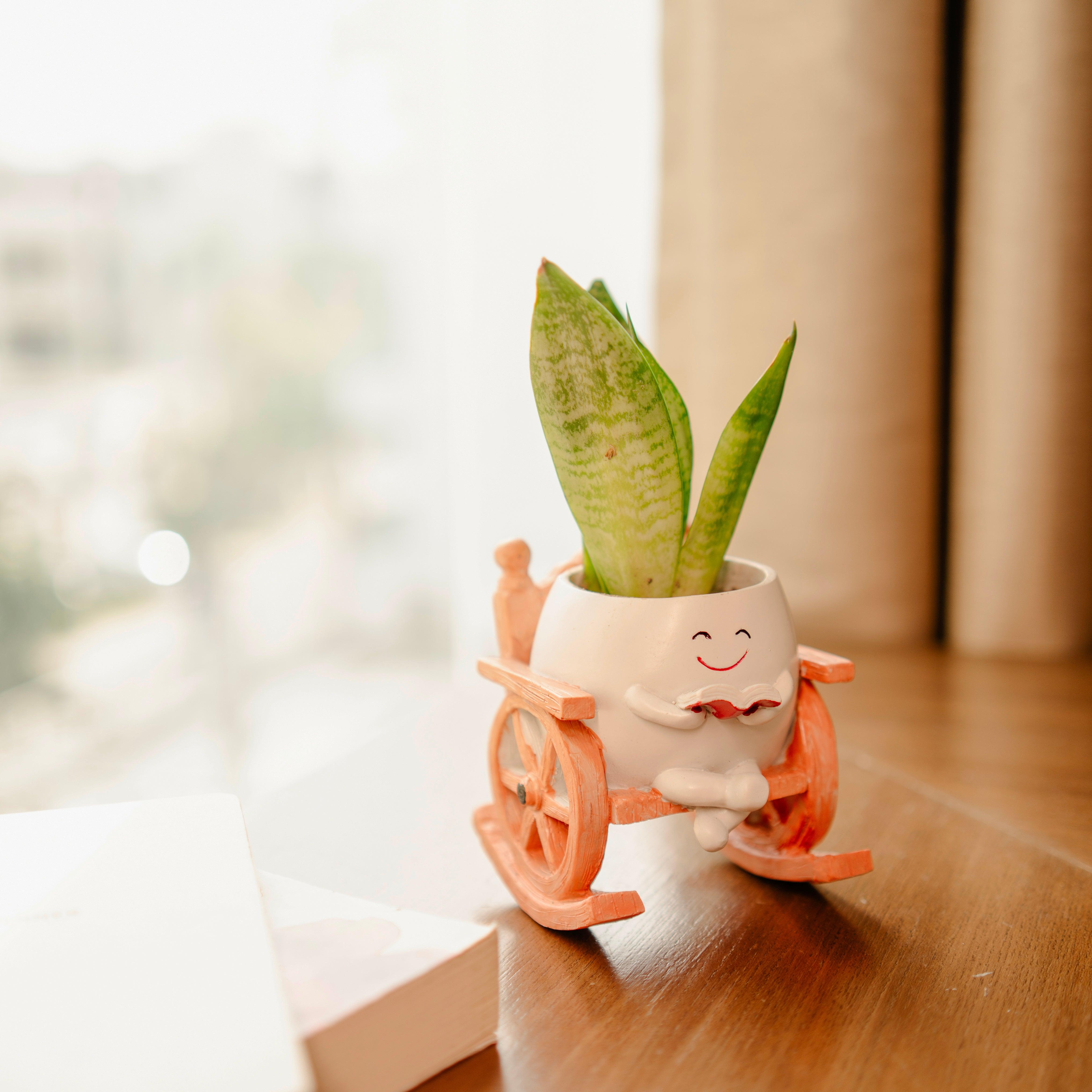Seat of Stories Resin Cute Planter | Mini Indoor & Outdoor Decorative Planter for Home