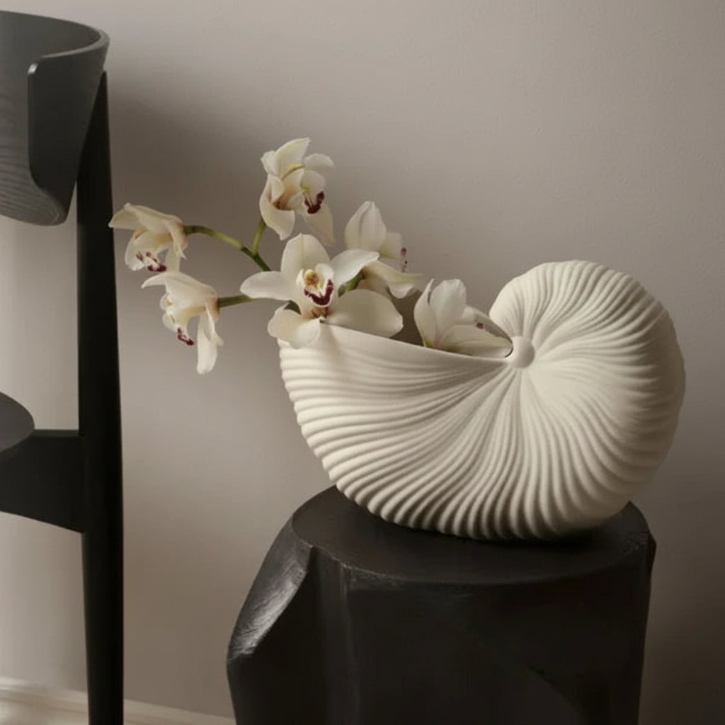 Aurelis - Nautilus Shell Ceramic Planter