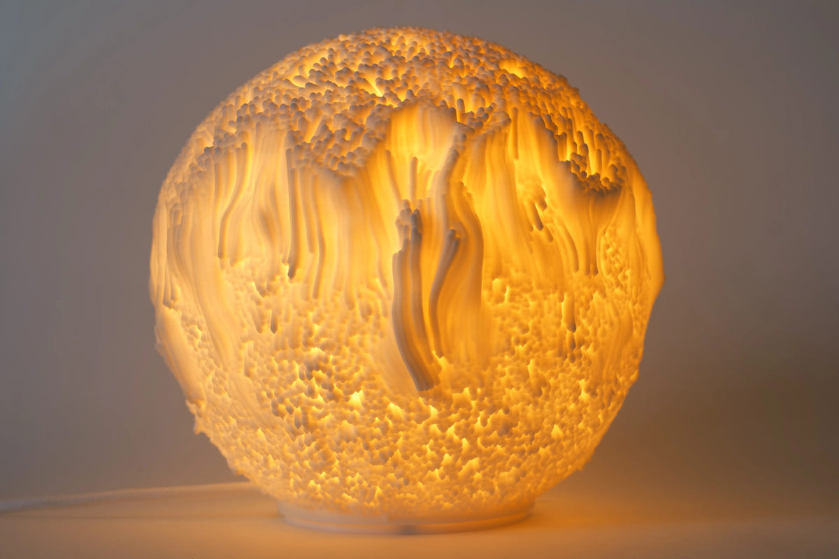 Reef Sculpted Lamp