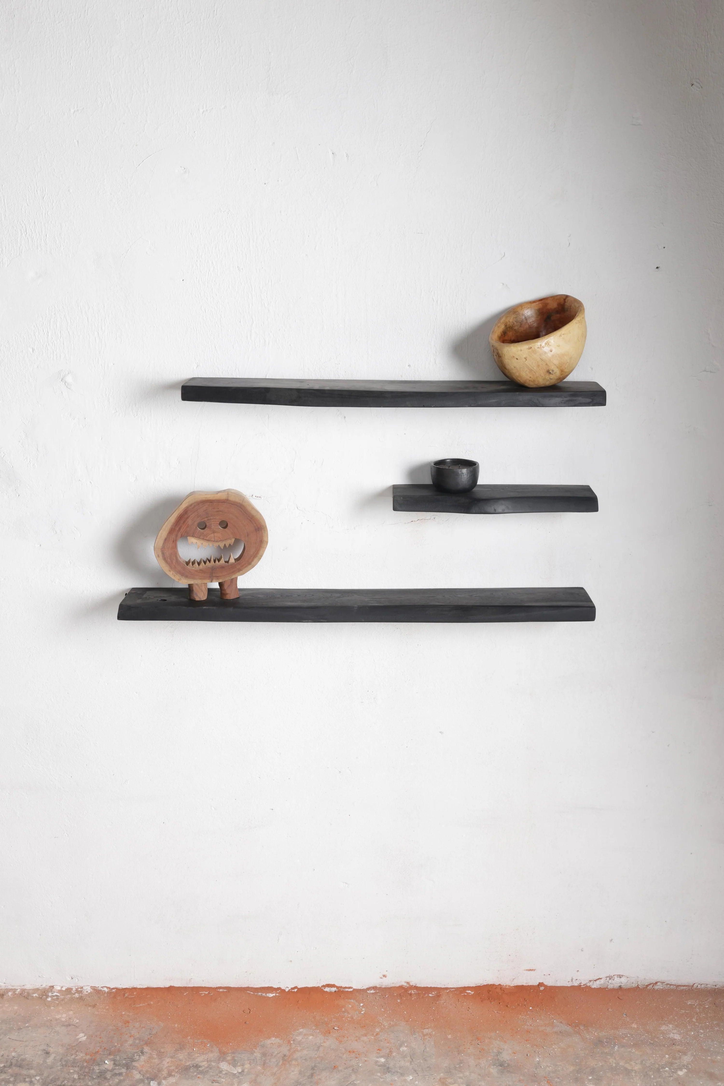 Organic Shelves Set of 3  for Home Decor | Floating Wall Racks