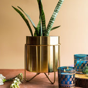 Waves and Paisley Gift Set