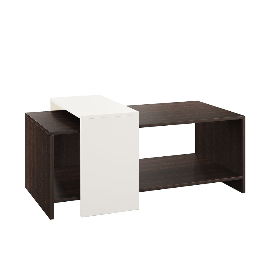 Coffee Table for Living Room with Storage Shelf - Blueten