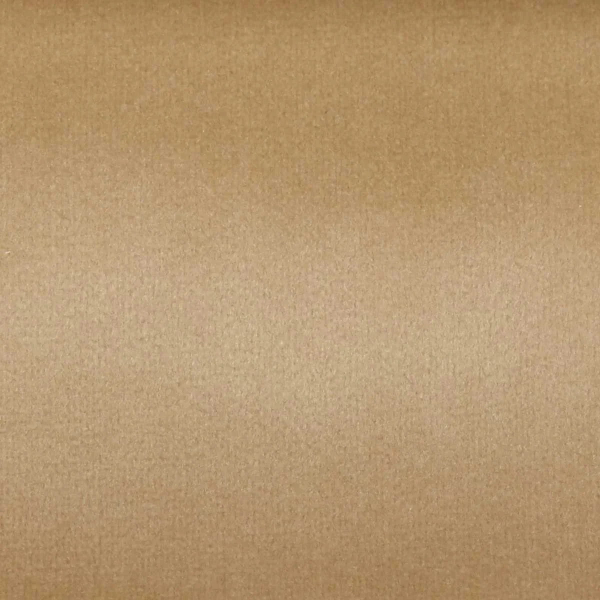 BEIGE Marcel Sofa Cum Bed - Beige