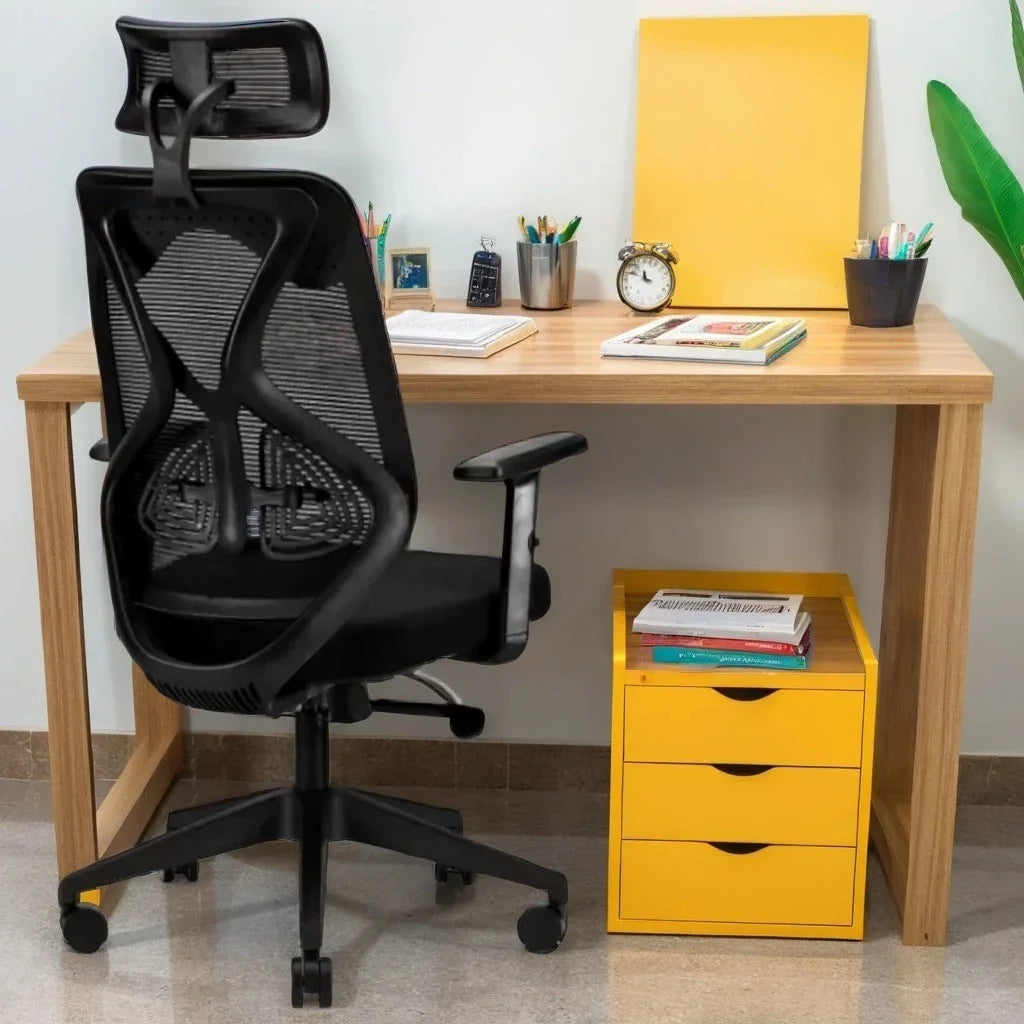 Black Ergolux High Back Ergonomic Office Chair | Adjustable Lumbar Support & Headrest