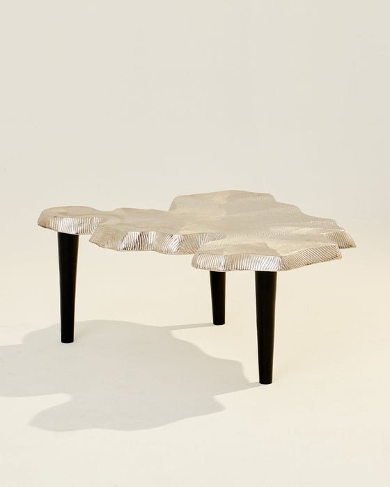 Amorphous Coffee Table - Set of 2