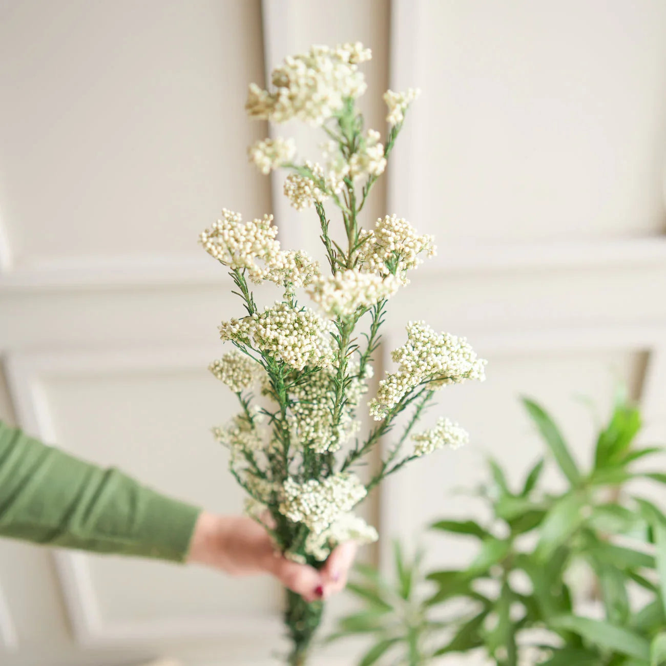 Rice White Dried Flower Stems | Natural Dried Flower for Decor 3-5 Pcs Stems
