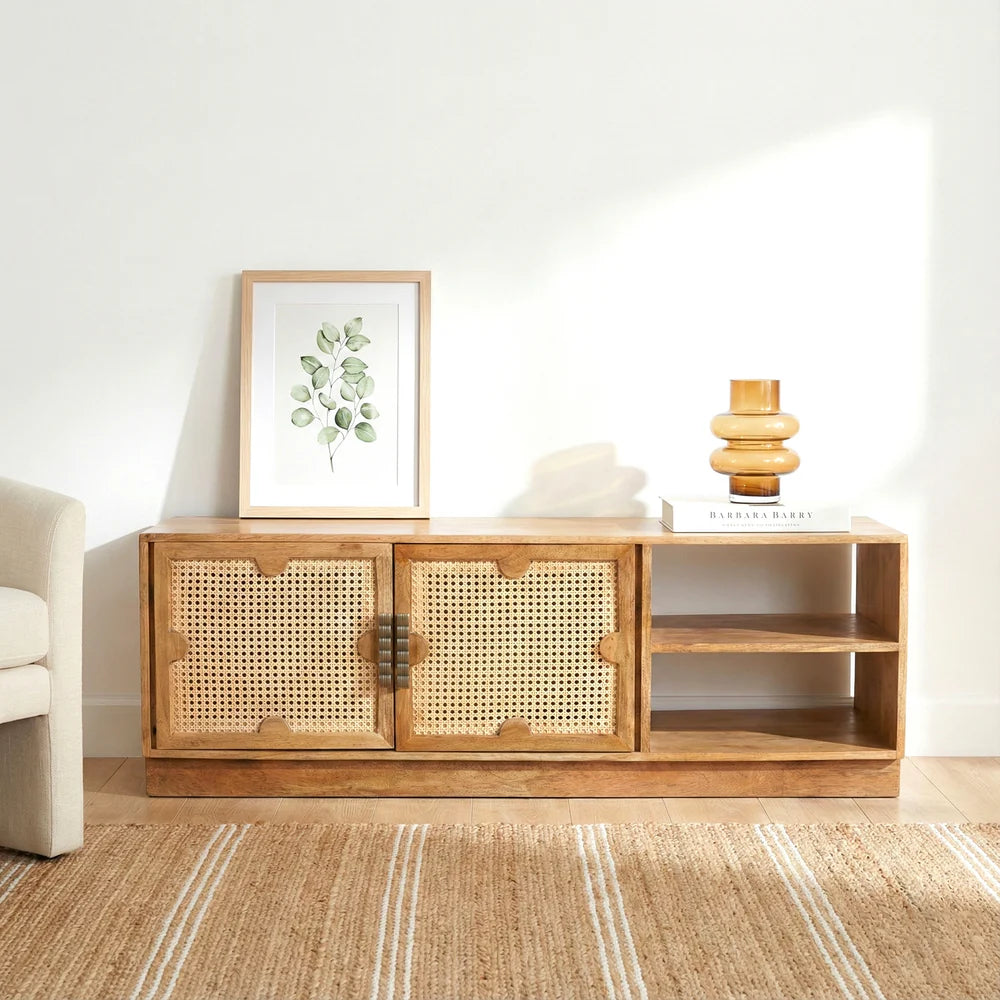Carter TV Cabinet | Storage Table For Home Decor