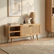 Carter TV Cabinet | Storage Table For Home Decor