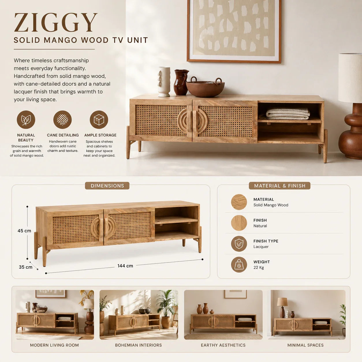 Ziggy Solid Mango Wood TV Unit with 2 Cane Doors | Natural Finish Modern Entertainment Console | TV Storage Cabinet