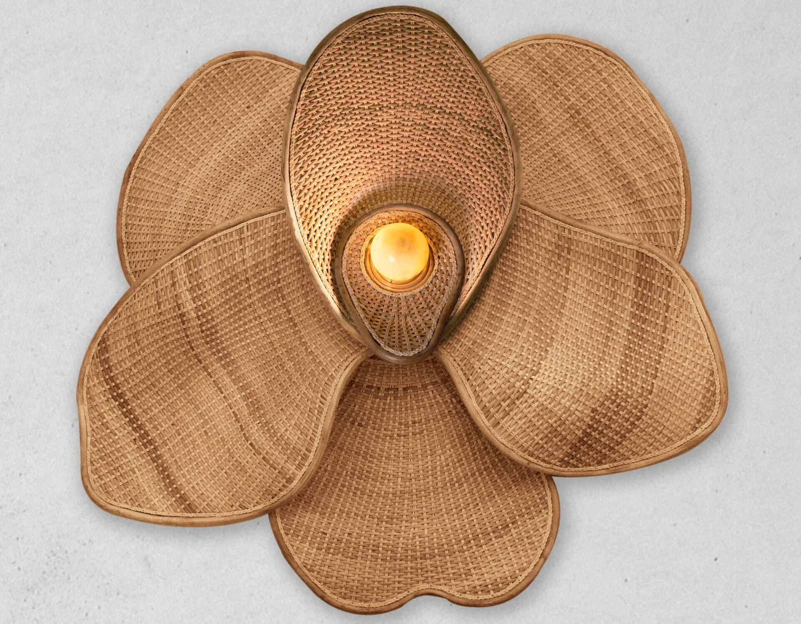 Orchid | Pendant Lamp