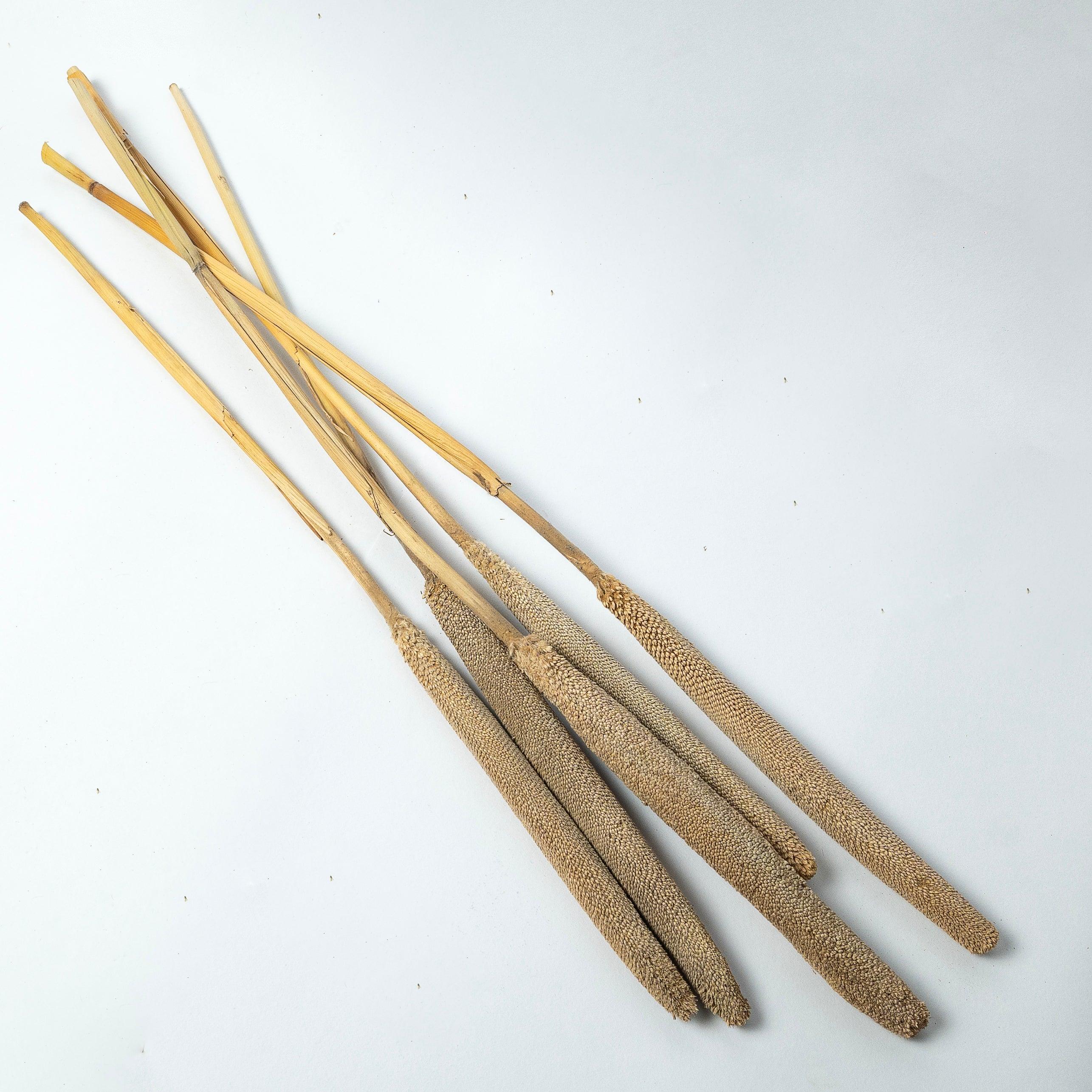 Exotic Bajra - Natural | Vase Fillers