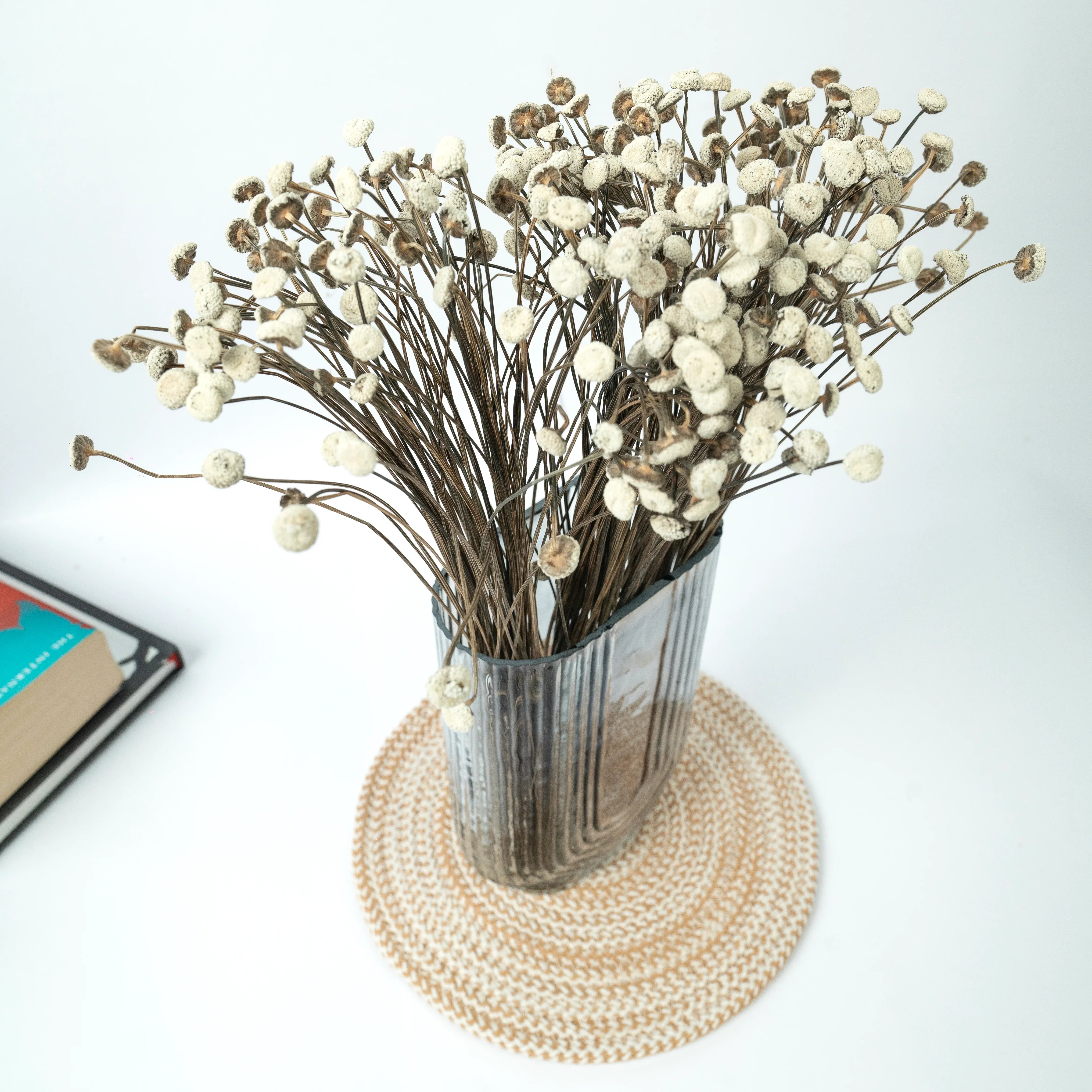 Buttercups - White | Set of 50 sticks