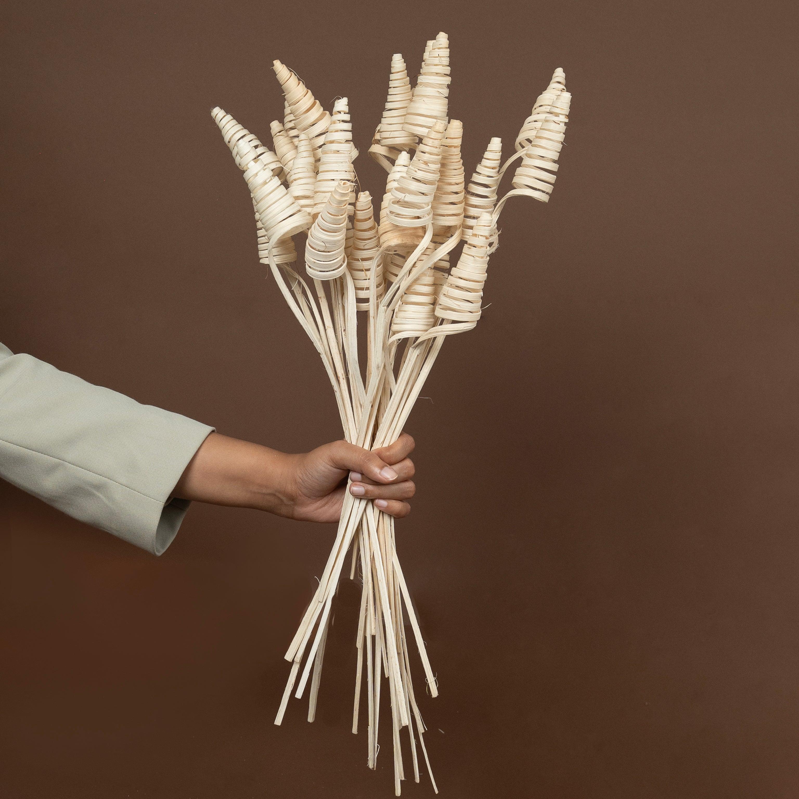 Cane Cone Sticks | Set of 5 sticks