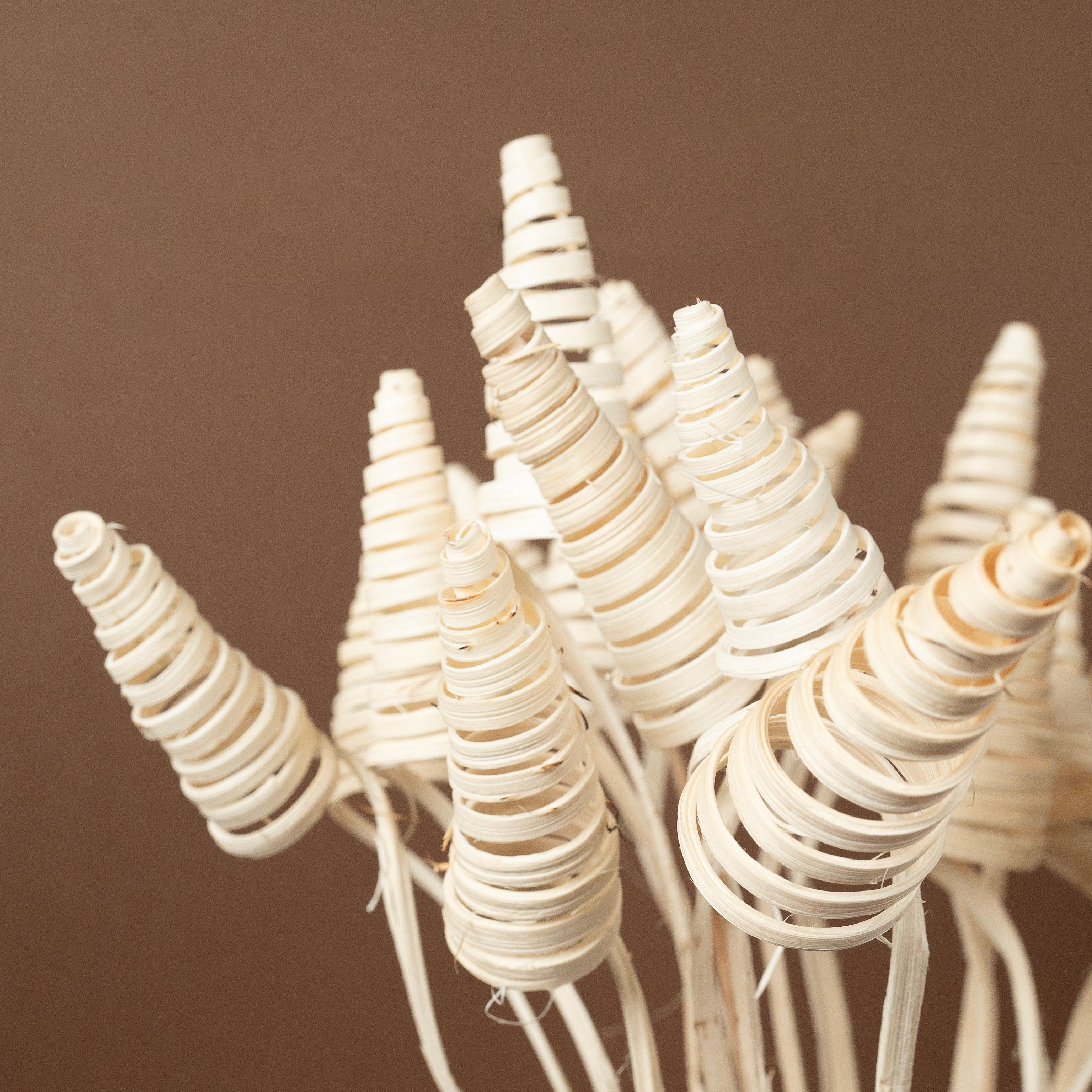 Cane Cone Sticks | Set of 5 sticks