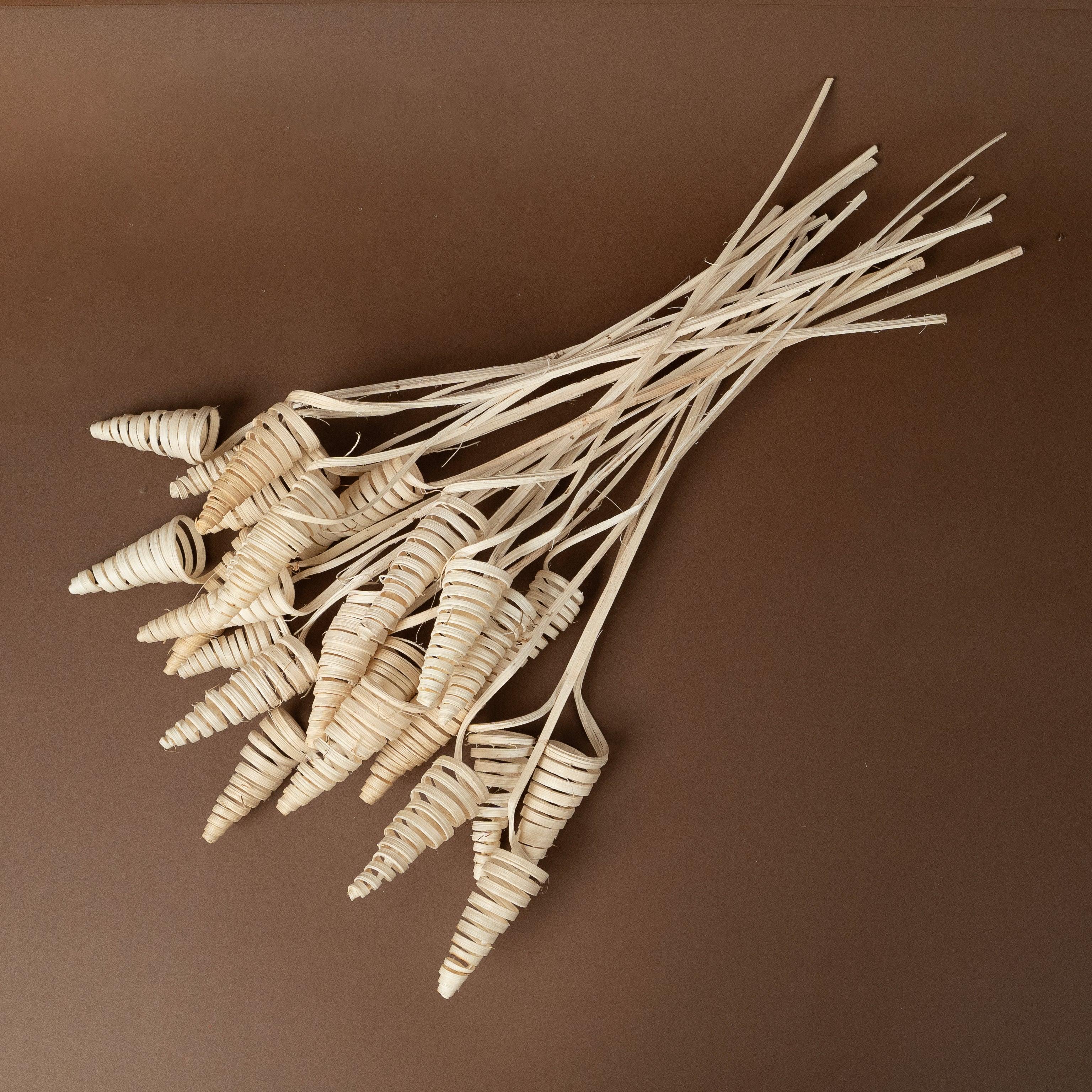 Cane Cone Sticks | Set of 5 sticks