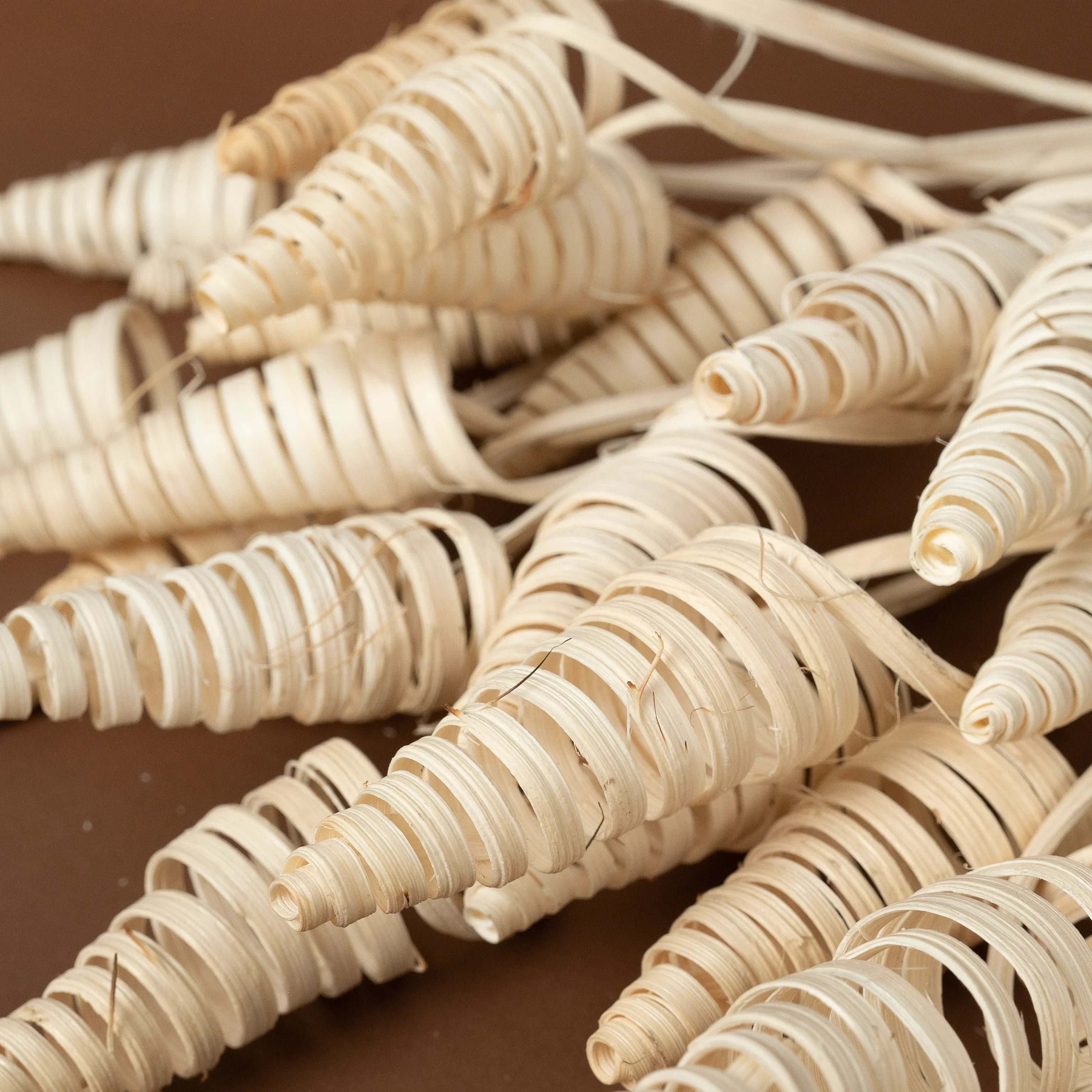 Cane Cone Sticks | Set of 5 sticks