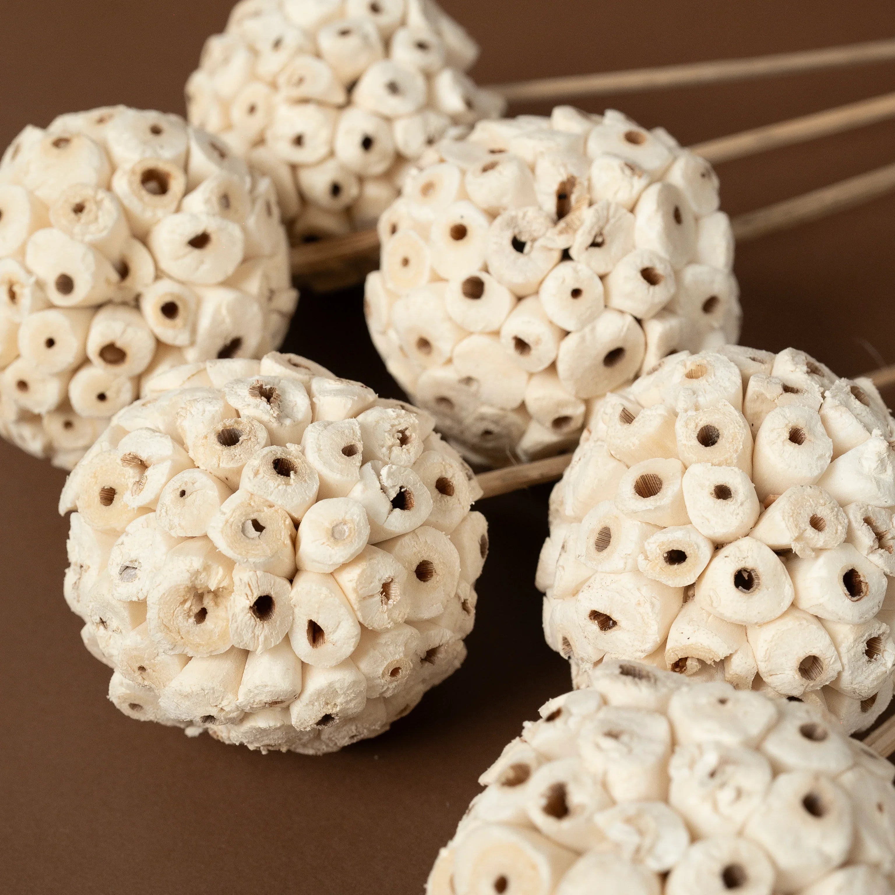 Shola Wood Atta Ball Sticks | Set of 6 sticks