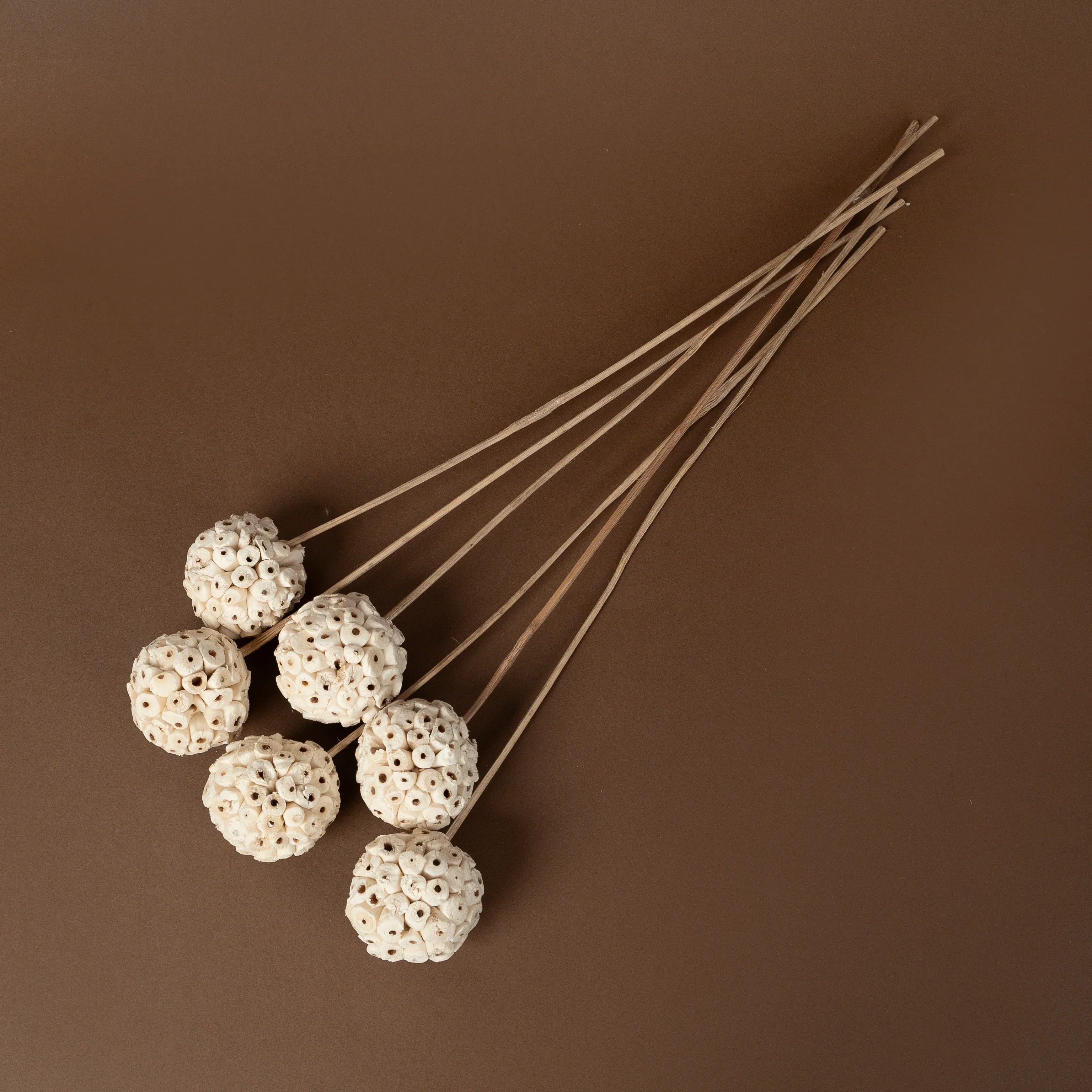 Shola Wood Atta Ball Sticks | Set of 6 sticks