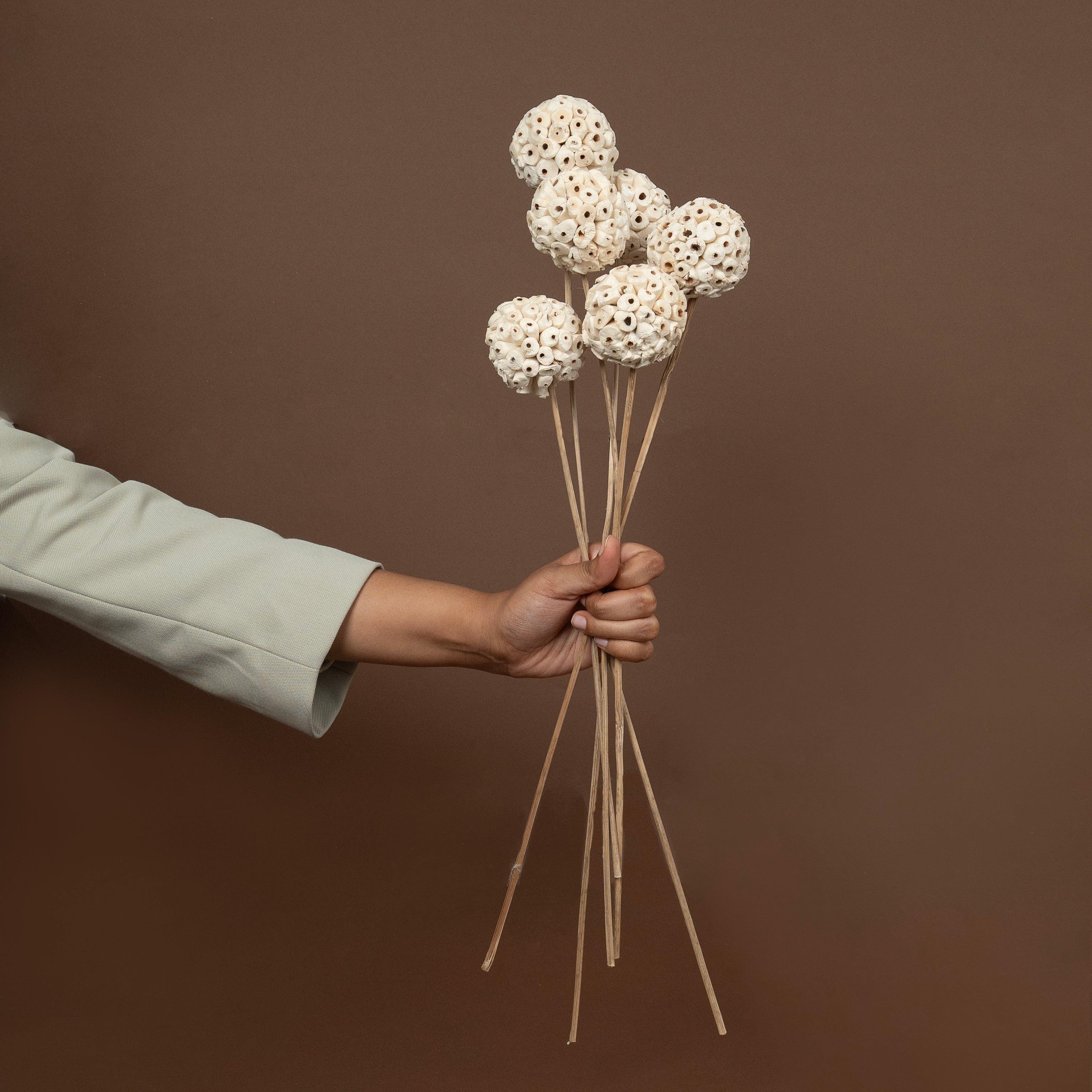 Shola Wood Atta Ball Sticks | Set of 6 sticks