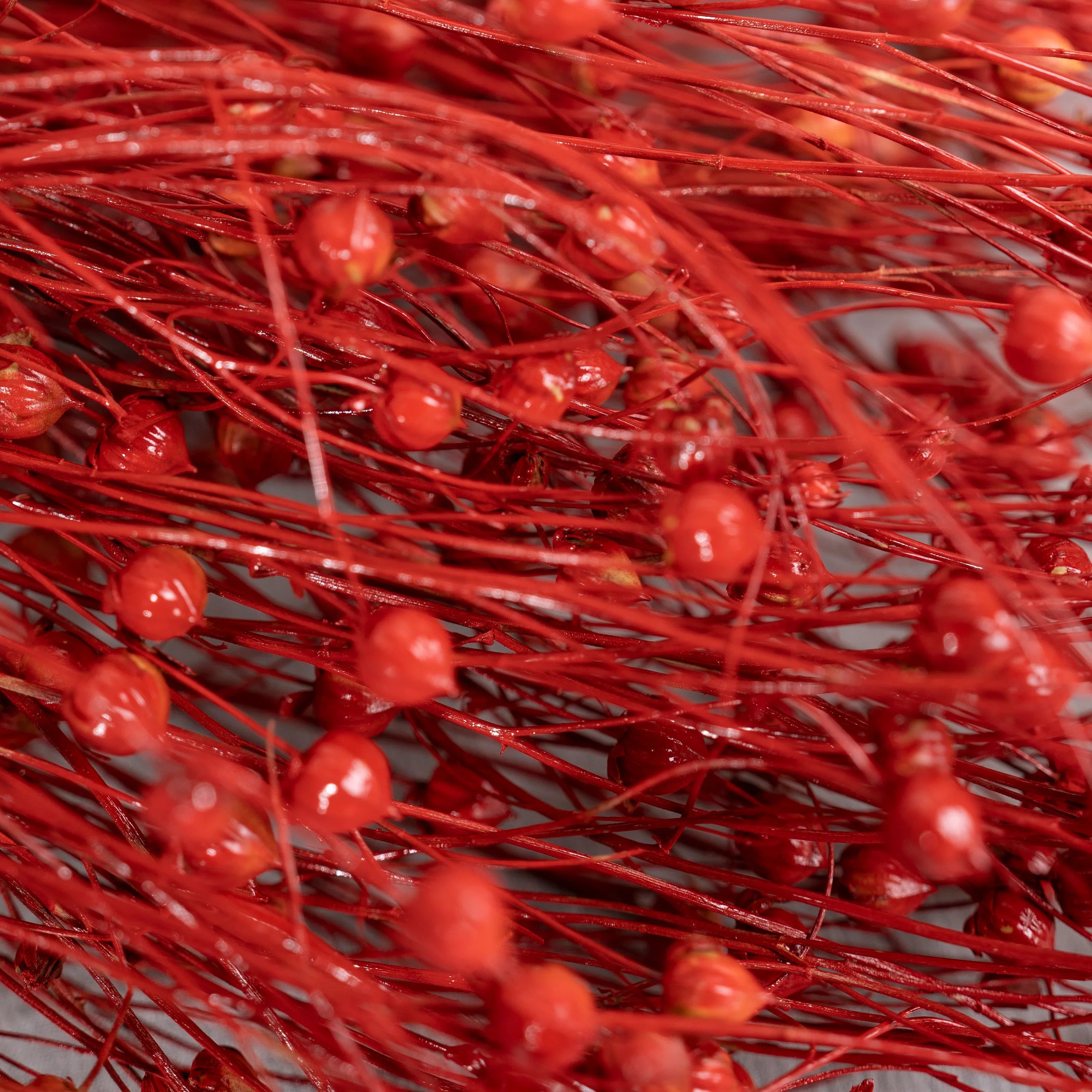Linum Red Flax Bunch for Plant Vase | Artificial Flower Decor