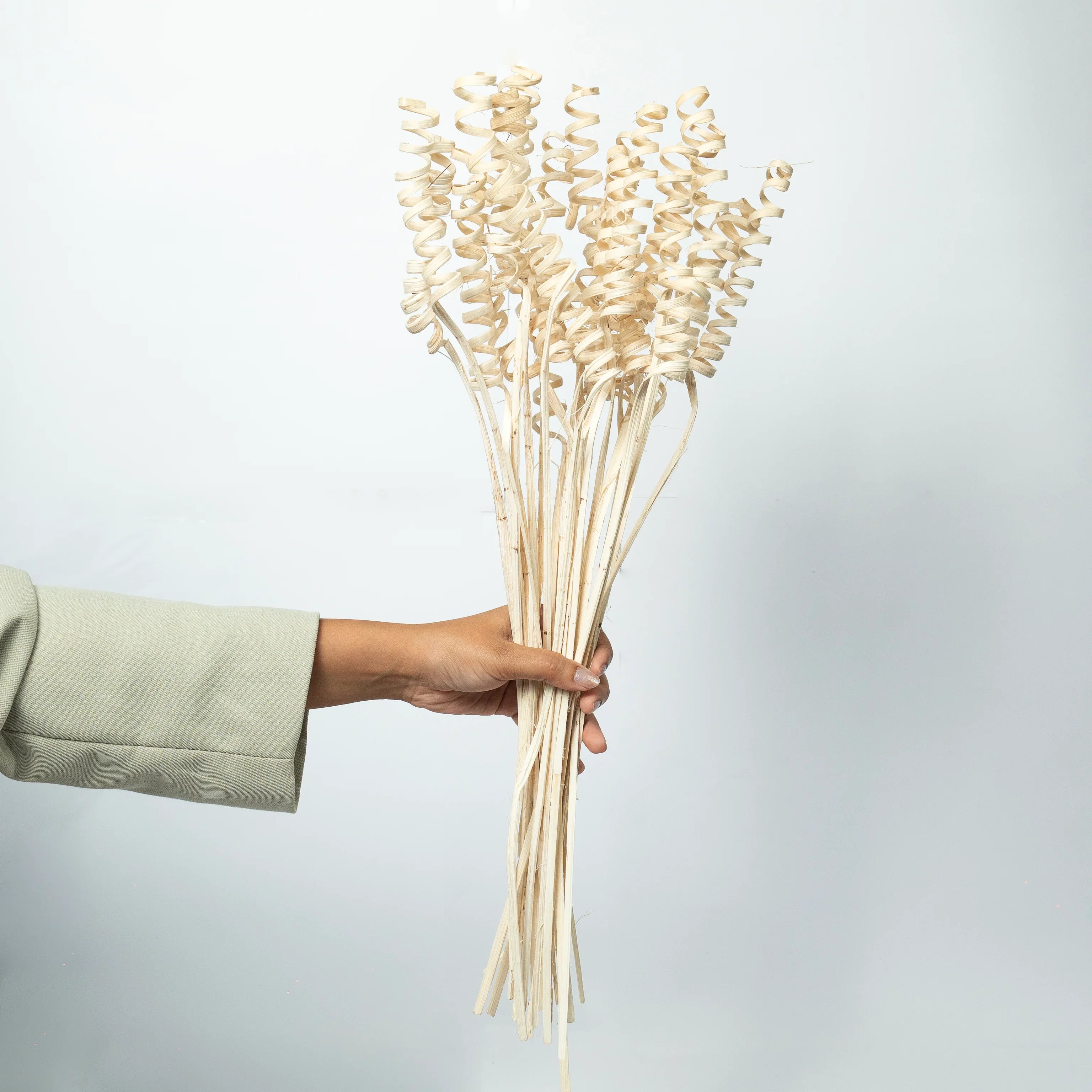 Cane Spring Sticks | Set of 5 sticks