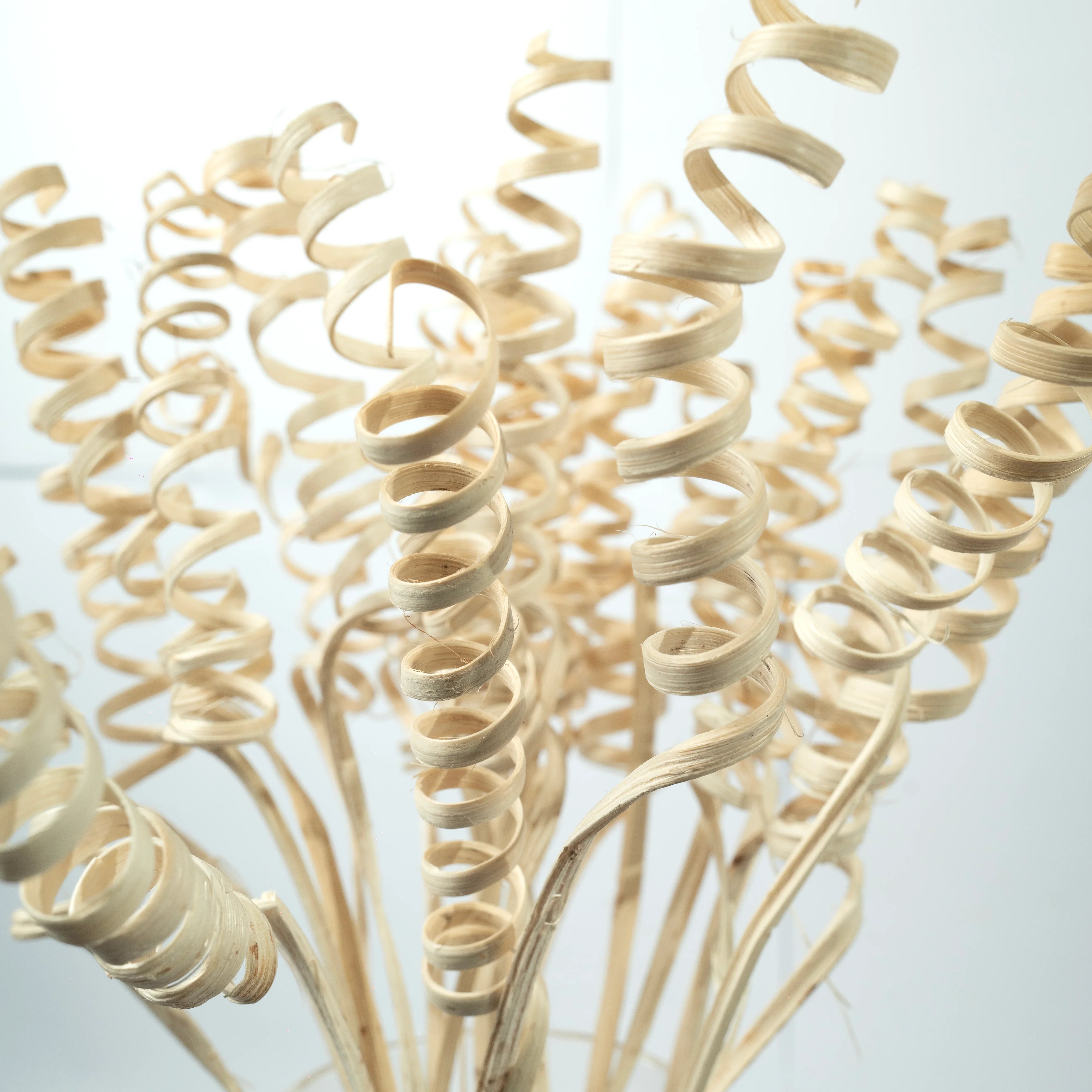 Cane Spring Sticks | Set of 5 sticks