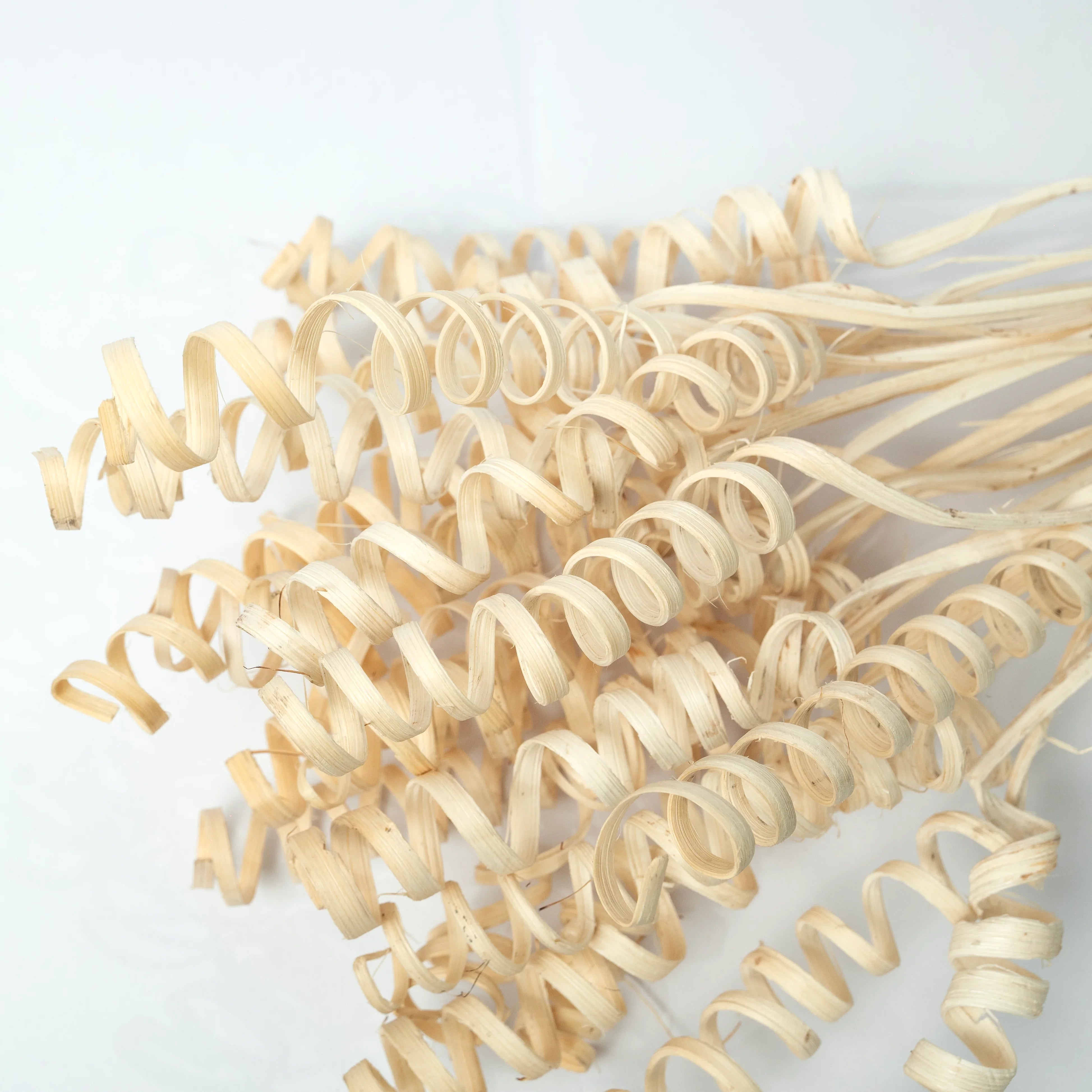 Cane Spring Sticks | Set of 5 sticks