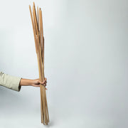 Cattail - Natural | Set of 5 Sticks