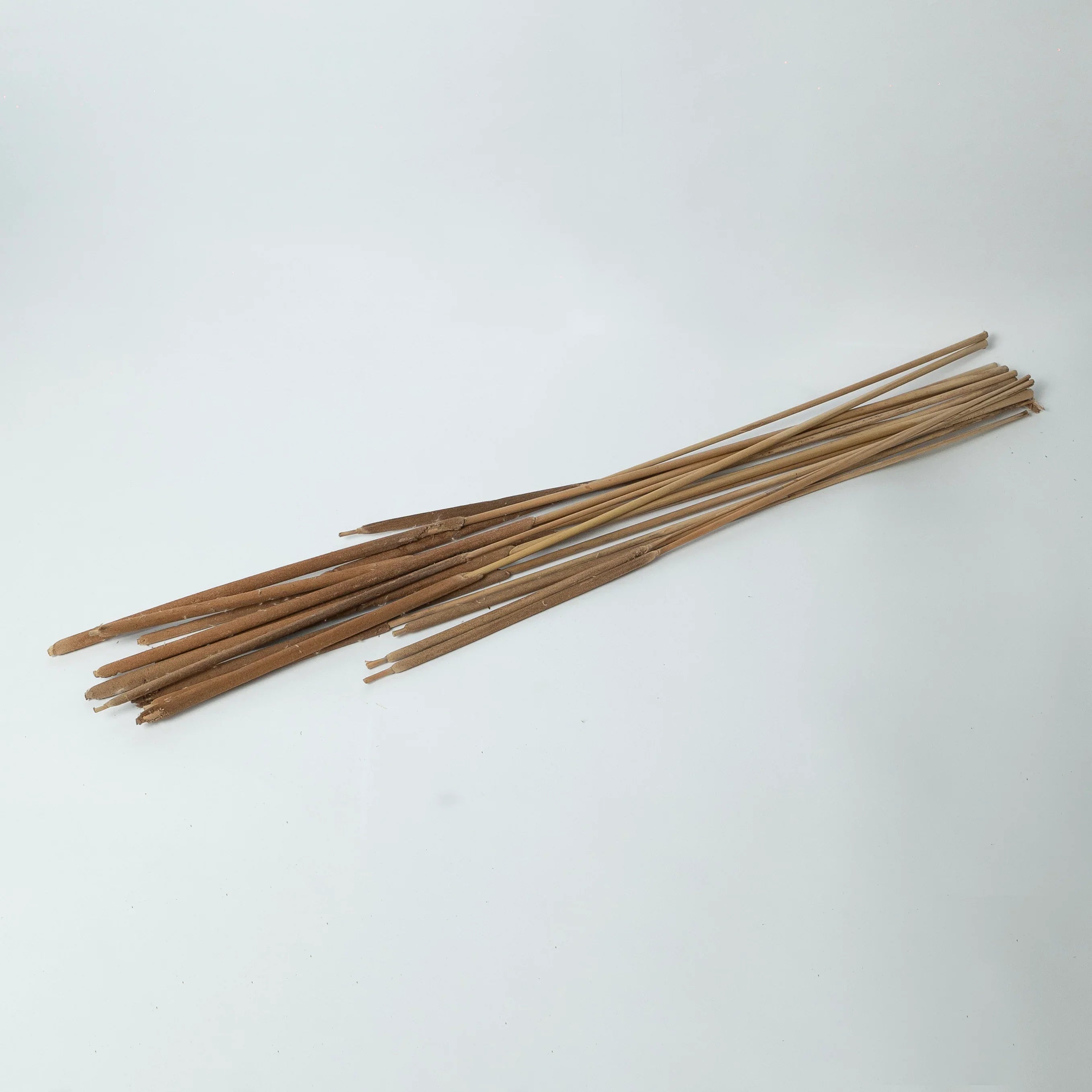 Cattail - Natural | Set of 5 Sticks