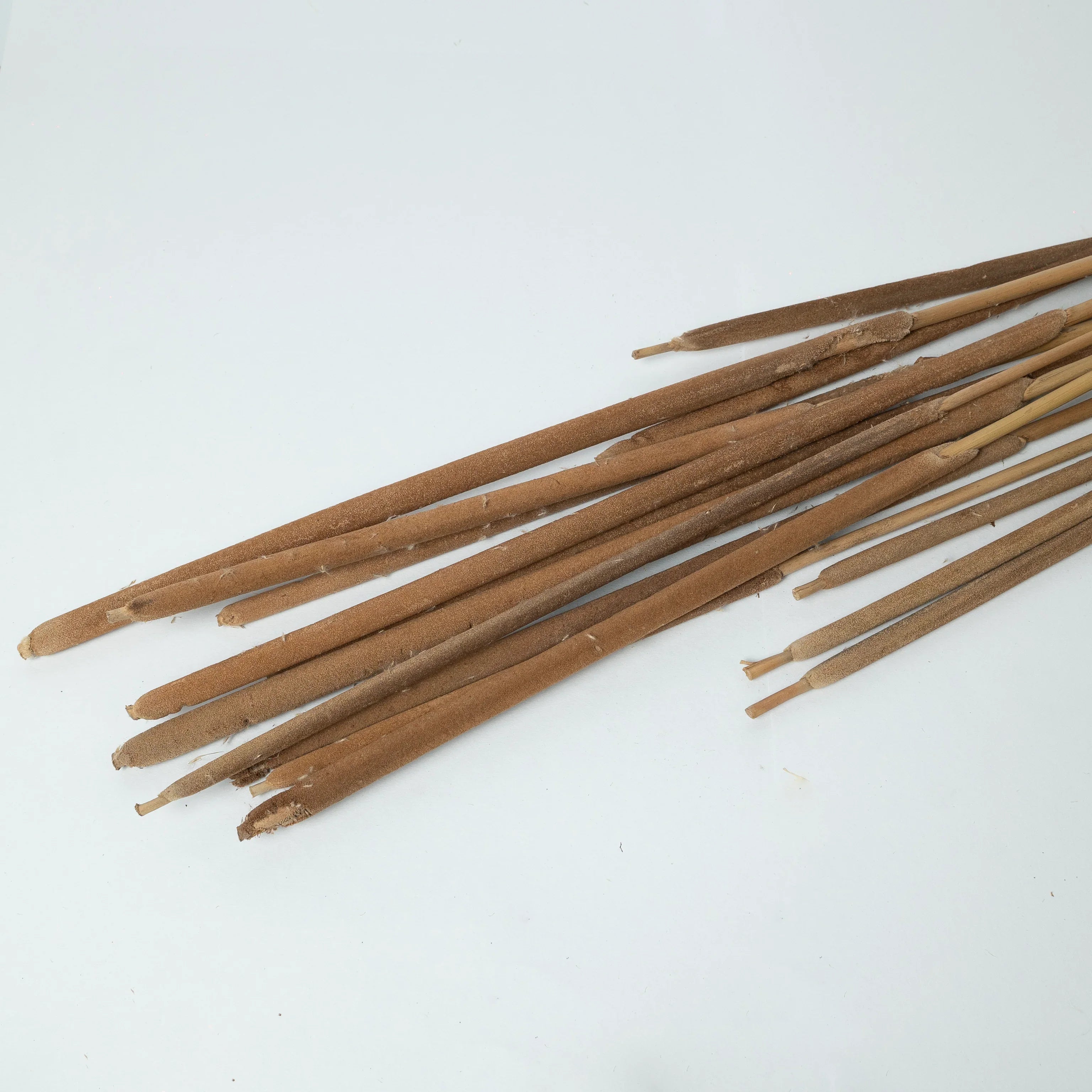 Cattail - Natural | Set of 5 Sticks