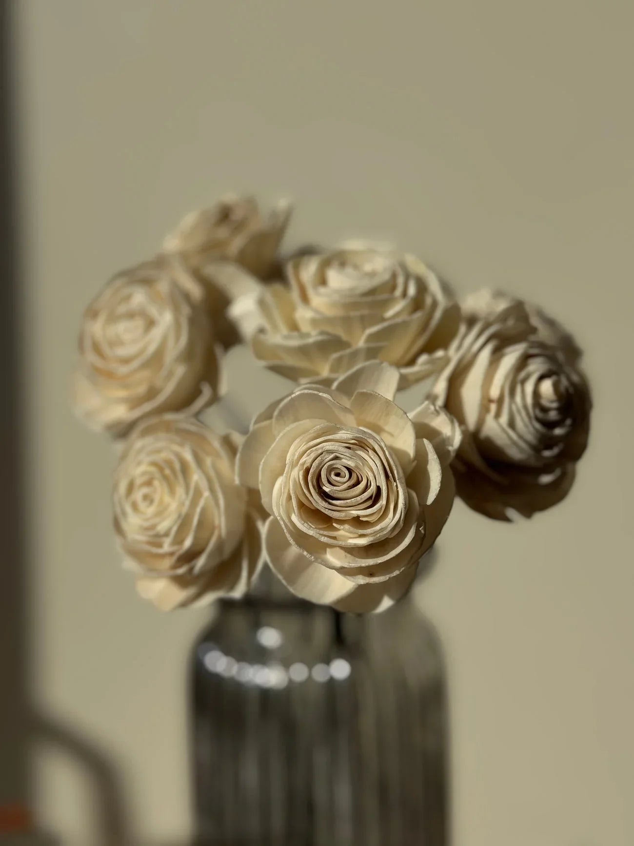 Natural Rose Sola Dried Flower for Home Decor | Vase Fillers - 10 Pcs Set