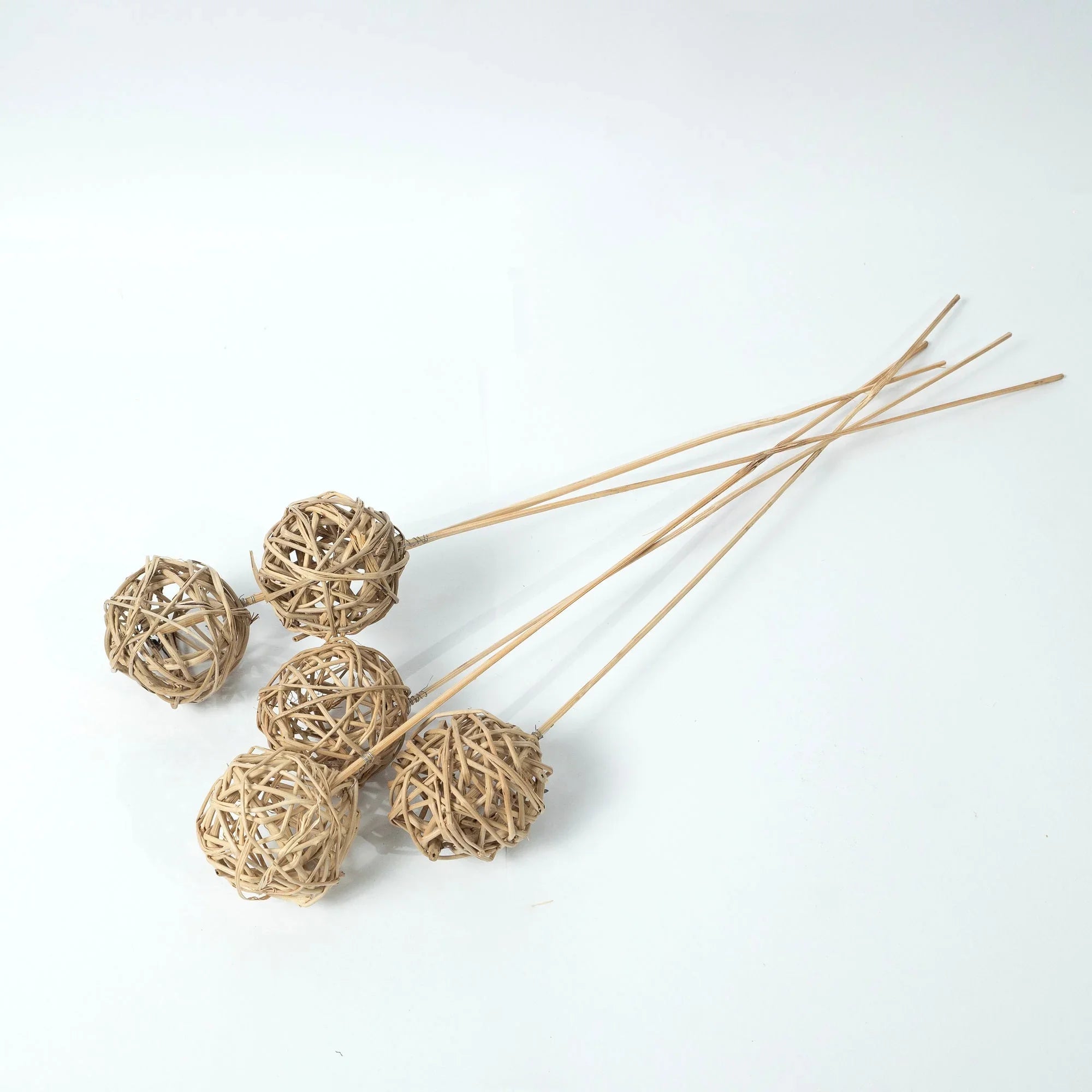 Dried Lata Ball