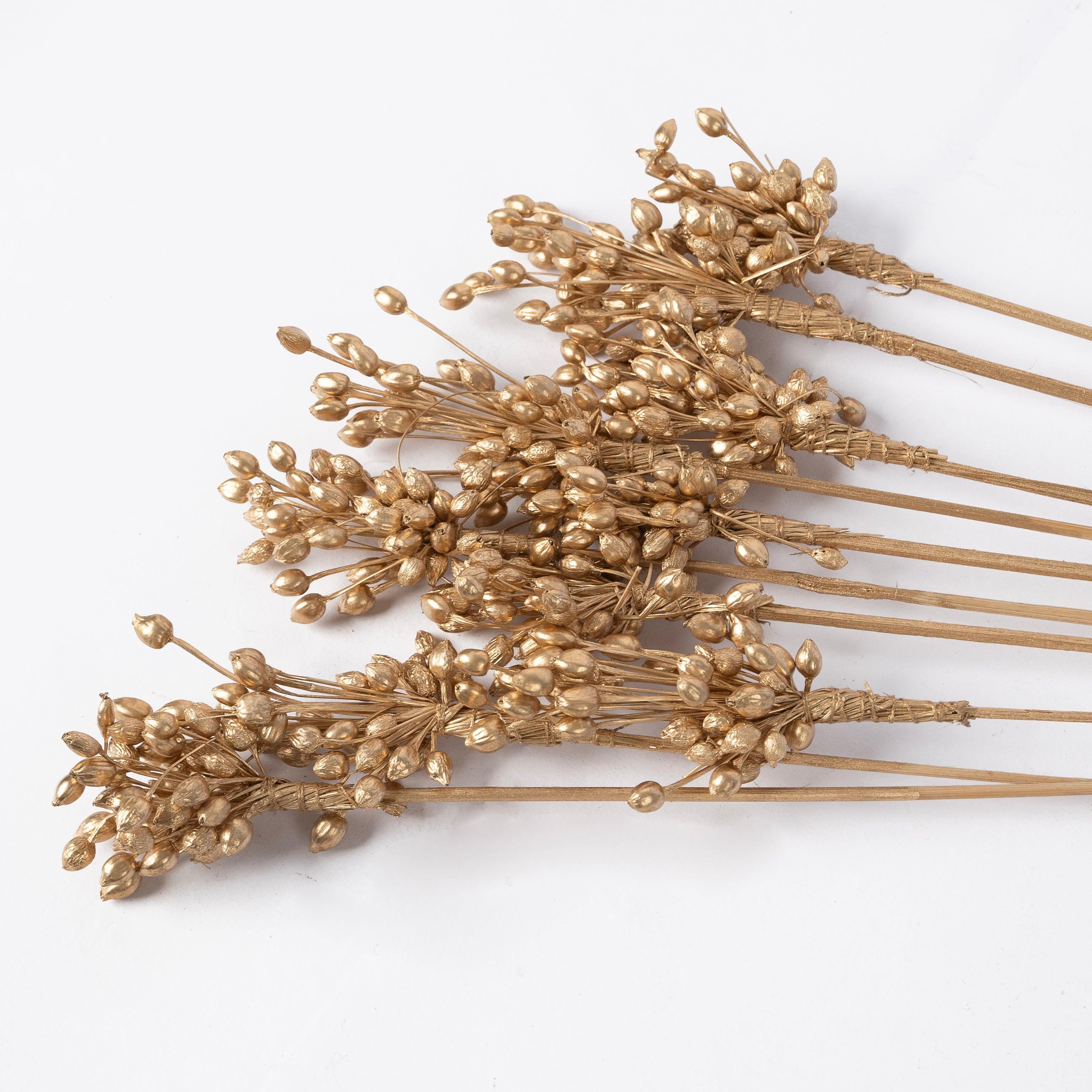 Dried Moti Bunch | Golden