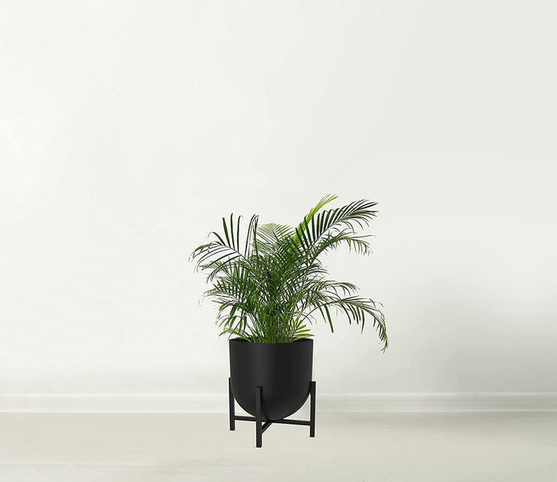 Large Planter with stand |Black