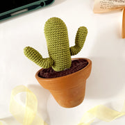 Crochet Terracotta cactus