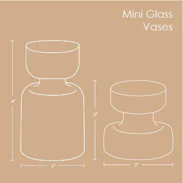 Mini Vase Gift Set with Mini dried flower