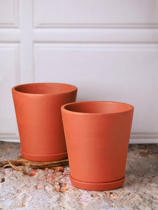 Cone Planter