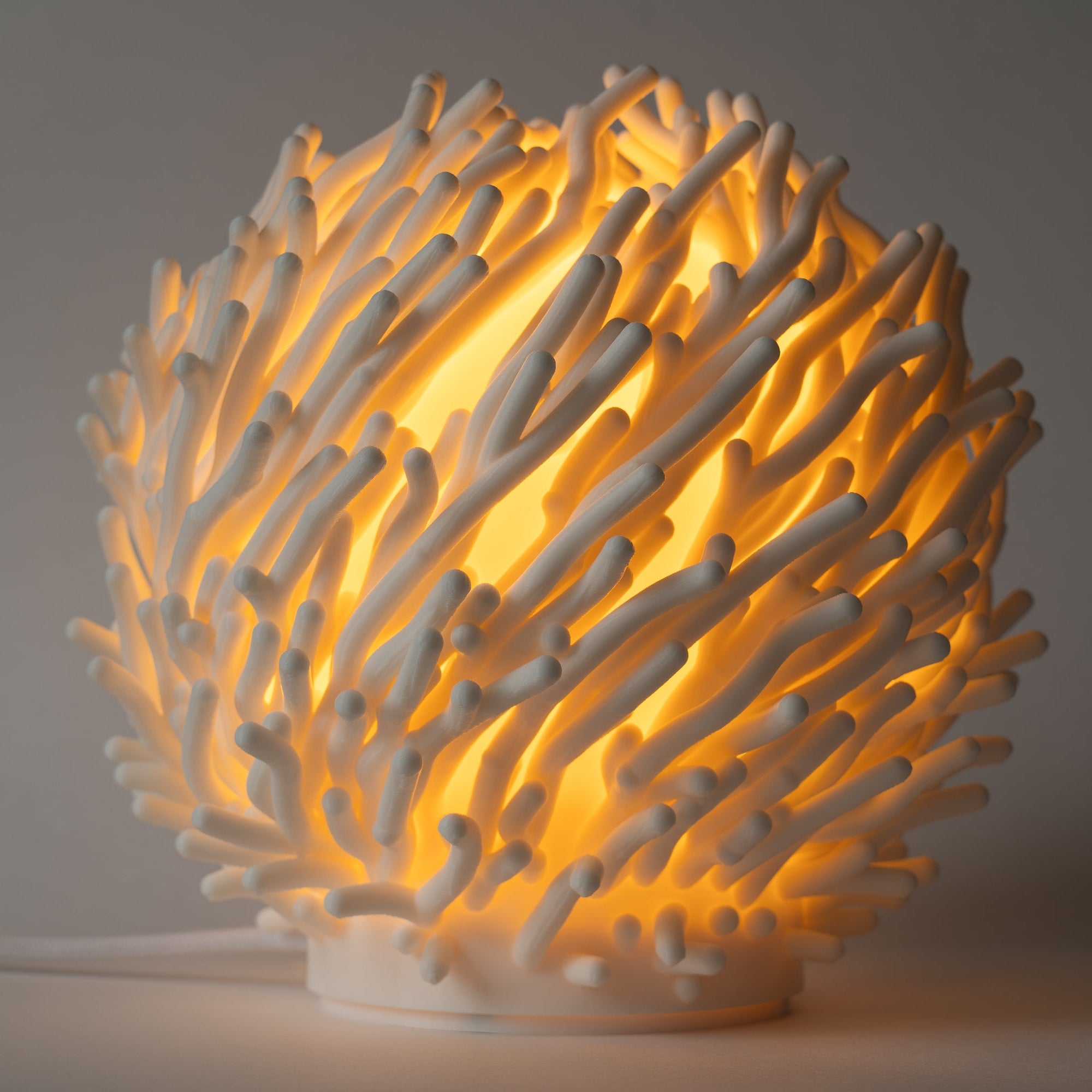 Coral Sculpted Lamp