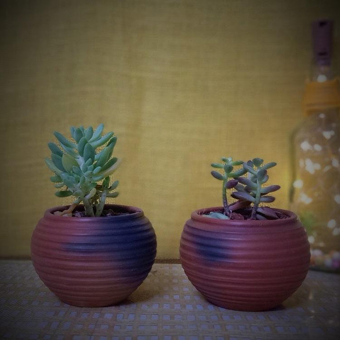 Buy Planter - Reduction Fired Terracotta & Jute Hanging Cum Desktop Planters Set Of 2 by Terracotta By Sachii on IKIRU online store