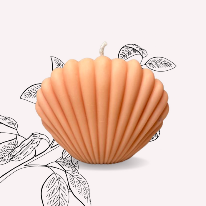 Sea Shell Soy Wax Candle