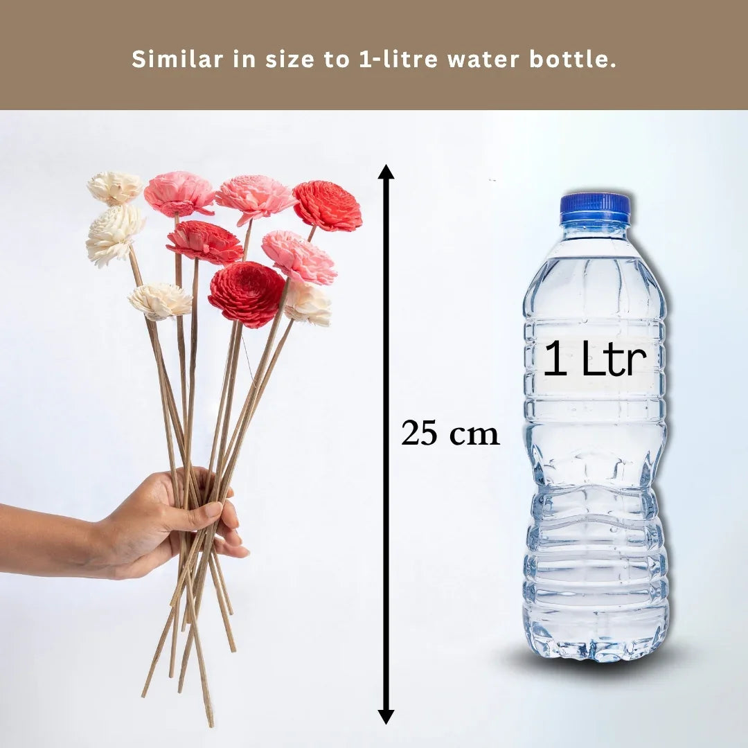 Bailey - 6 cm | Baby Pink, Pink and White