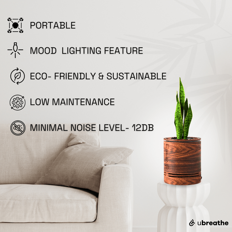 Mini Classic Air Purifier Planter